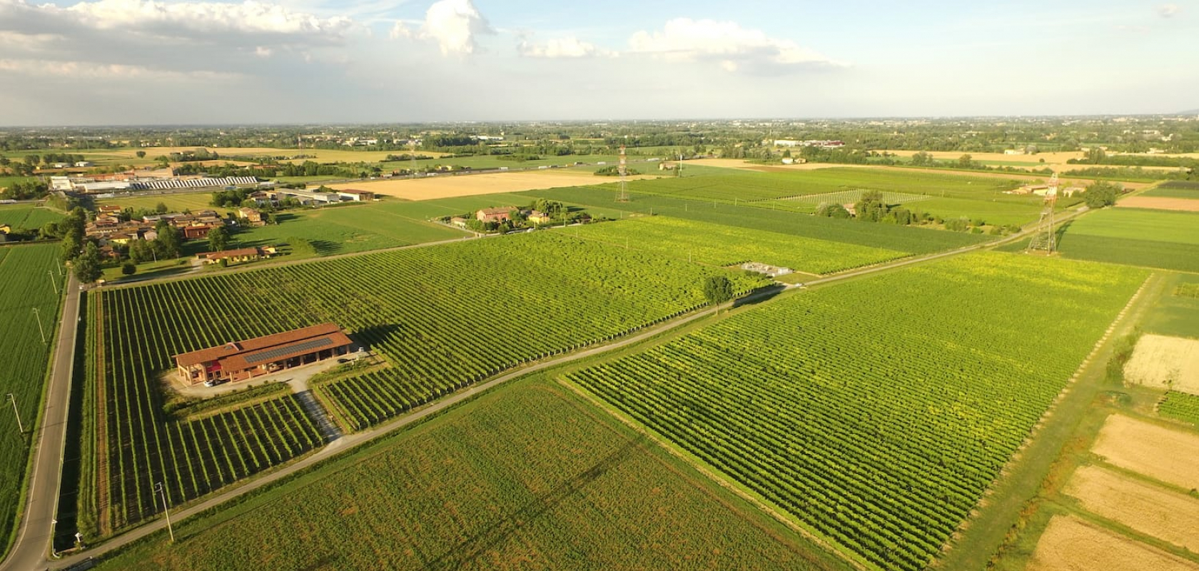 I vigneti di casa balsarena